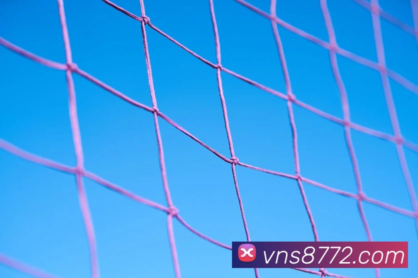 威尼斯人官网平台生态图